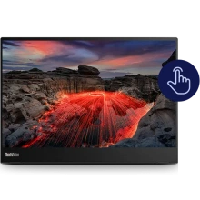 Перейти в категорию Прочие ThinkVision